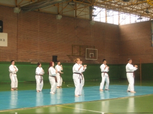 Shorinji-Kempo erakustaldia.