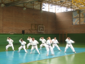 Shorinji-Kempo erakustaldia.