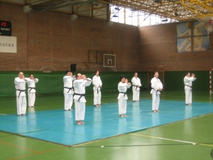 Shorinji-Kempo erakustaldia.