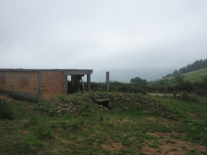 Mijangosko trikuharria.