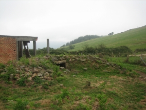 Mijangosko trikuharria.