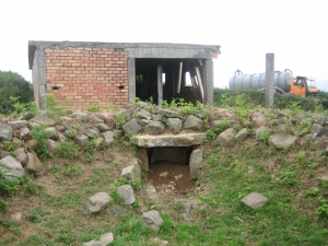 Mijangosko trikuharria.