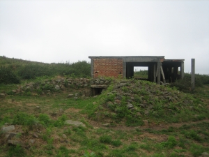 Mijangosko trikuharria.