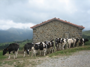 Los Lastrios borda.