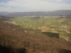 Sakana Lizarragatik.