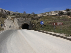 Lizarragako mendatea eta tunela.