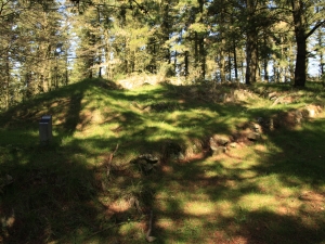 Trikuaizti I. trikuharria.