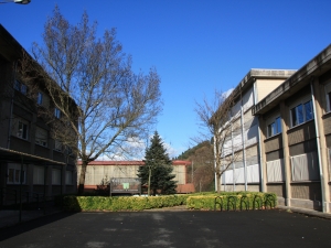 Tolosaldea Goimailako LH Institutoa.