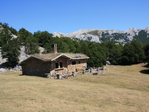 Perusaroiko aterpea.