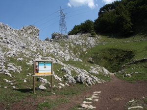 Lizarrateko eremua.
