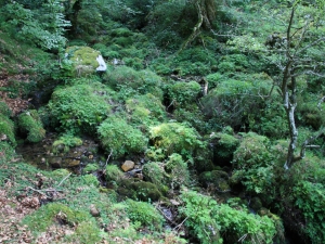 San Adrian azpiko errekatxoa.