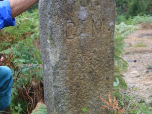 Arrolako saroia.
