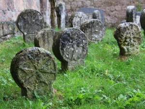 Hilarri diskoidalak.