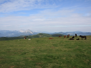 Larunbateko Mundumira mendi martxa.