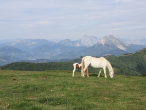 Larunbateko Mundumira mendi martxa.