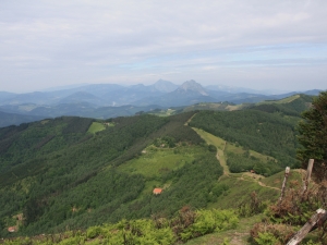 Arranoaitzetik ikuspegia.