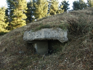 Ametralladoren kokagunea 03