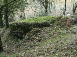 Ametralladoren kokagunea 01