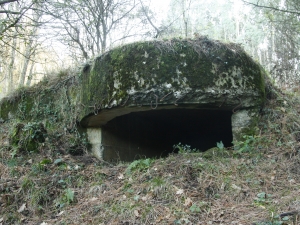 Ametralladoren kokagunea 01