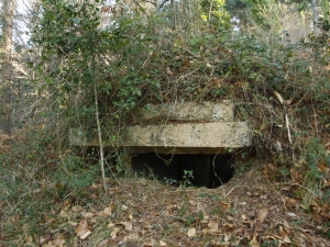 Ametralladoren kokagunea 02