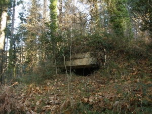 Ametralladoren kokagunea 02