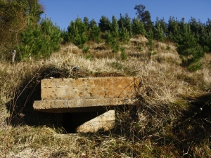 Ametralladoren kokagunea 06