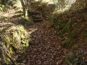 Lubaki lerroa Taramonan