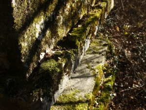 Ametralladoren kokagunea 05