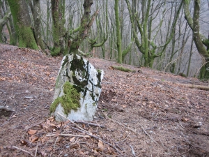 Zilegimendietako ikurra