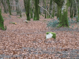 Zilegimendietako ikurra