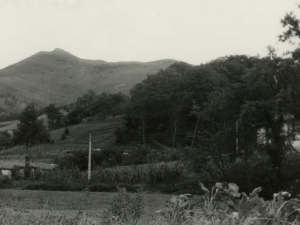 Zaldibiako landa paisaia