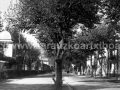 Nafarroa kaleko zumardia / Alameda de Nafarroa kalea (1945)
