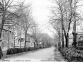 Madoz zumardia / Alameda de Madoz (1900)