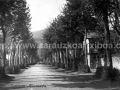 Nafarroa kaleko zumardia / Alameda de Nafarroa kalea (1920)