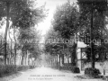Madoz zumardia / Alameda de Madoz (1905)