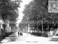 Nafarroa kaleko zumardia / Alameda de Nafarroa kalea (1905)