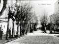 Nafarroa kaleko zumardia / Alameda de Nafarroa kalea (1880)