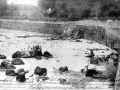 Hondartza eta Portuko bidea / Playa y camino al puerto (1918)